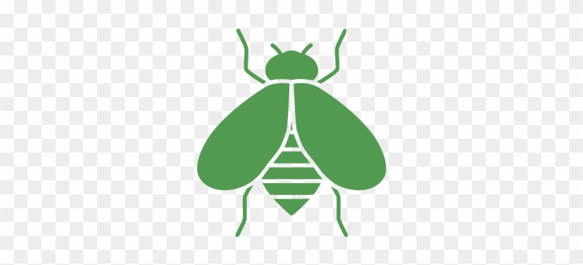 Pest Control For Bees - Pest Control & Exterminator Of Orange County #1315062