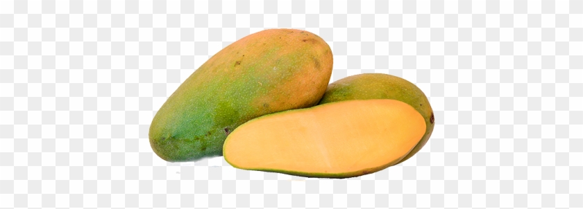 Notice - - Karthakolomban Mango In Sri Lanka #1315064