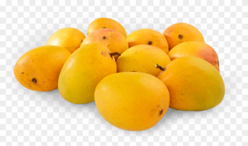 Iw 1492185994 - Alphonso Mango Mumbai #1315087