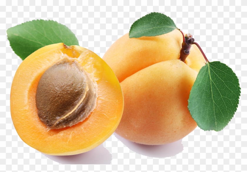 Killzone Clipart Mango - Apricot Png #1315120