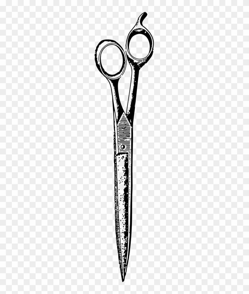 Scissors - Hair-cutting Shears #1315203