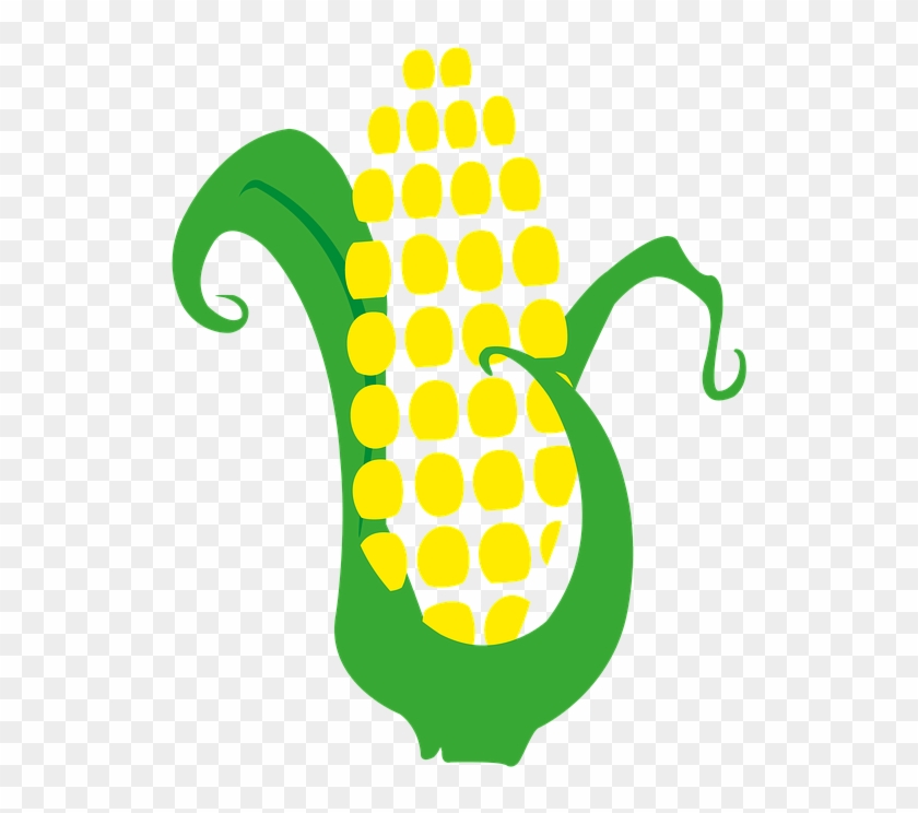 Harvest Clipart Corn Husk - Mazorca Png #1315586