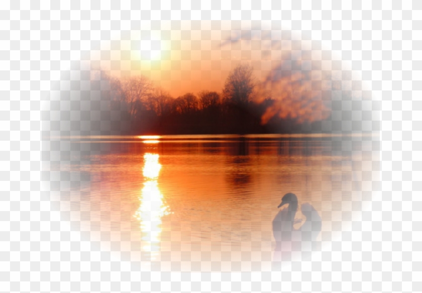 Portable Network Graphics Clip Art Gif Psd Adobe Photoshop - Png Картинки На Прозрачном Фоне Пламя #1316063