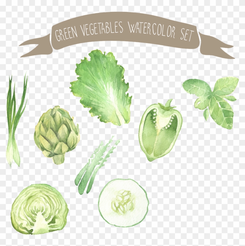 Watercolor Painting Vegetable Drawing Illustration - Recipe Journal: Set Of Watercolor Veggies Cooking Journal, #1316434