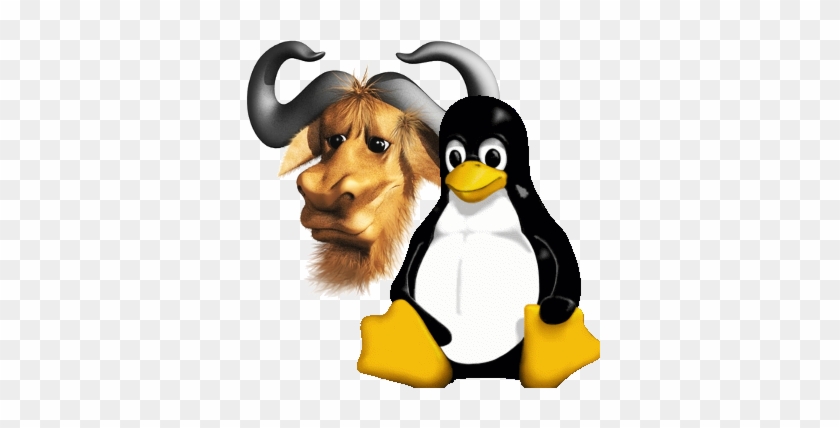 Gnu Linux Logo - Types Of Operating System #1316570