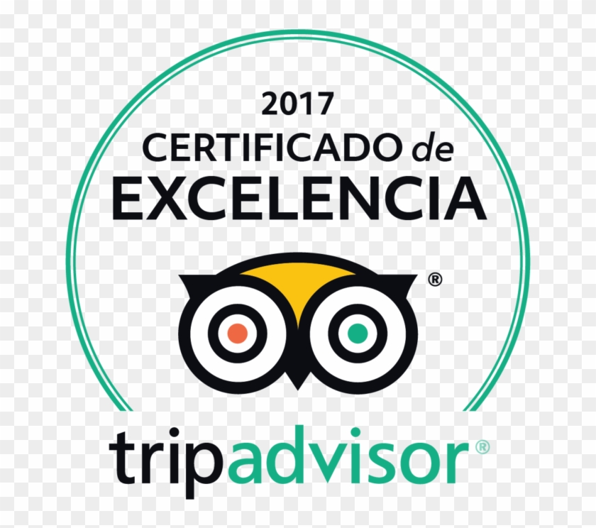 Casa Spanish Received The Trip Advisor Excellence Certificate - Tripadvisor Certificate Of Excellence 2018 #1316797