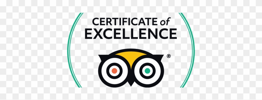 Certificate 15 Jul 2018 - Trip Advisor #1316820