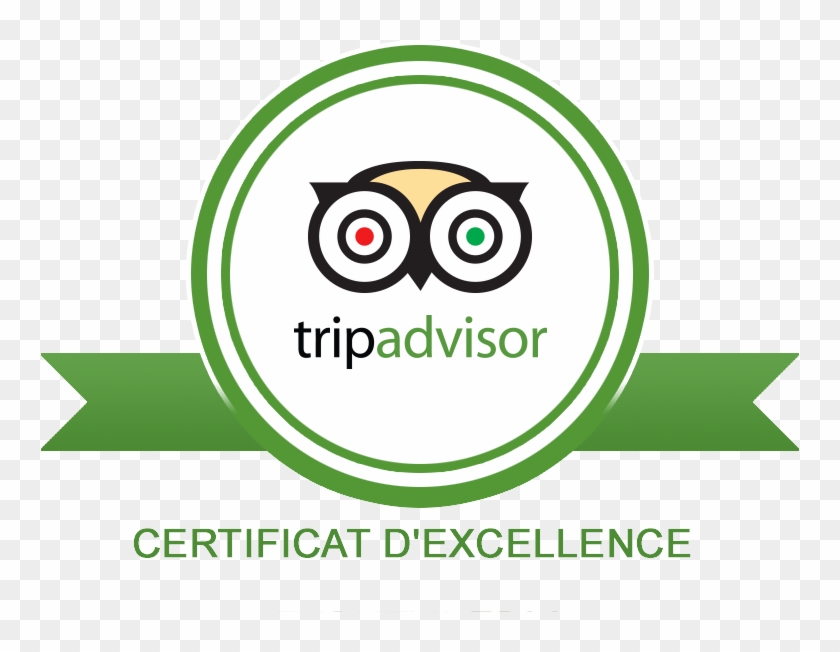 Excellence Tripadvisor For The Grand Hotel Of The Gulf - Trip Advisor #1316832