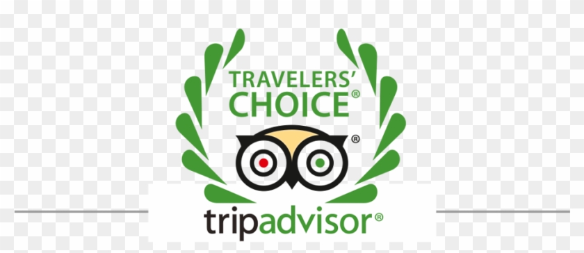 Tripadvisor Tripadvisor Travelers' Choice And Certificate - Listerine Pocketpaks Breath Strips, Cinnamon, 3 Count #1316837