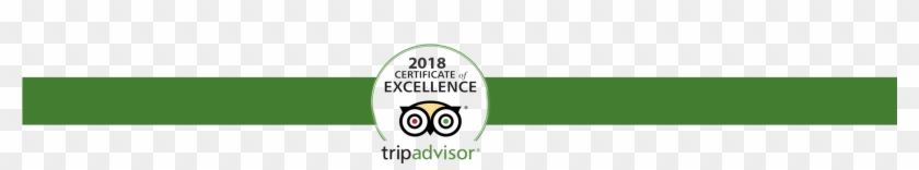 Discover Our Top Tour Packages - Trip Advisor #1316844