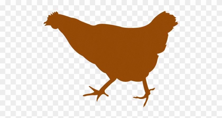 Chicken Silhouette Vector #1316950