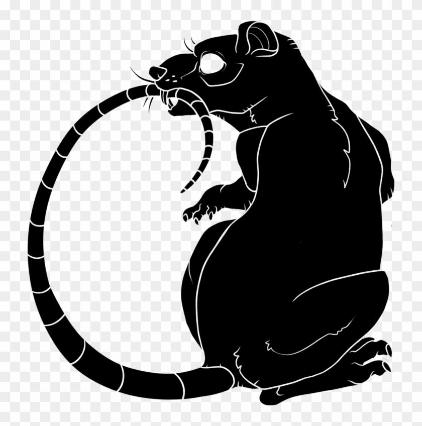 Black Rat - Illustration #1316951