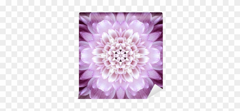 Pink Concentric Flower Center - Zzycushion-3d Digital Print Cushion Art Printing Pillow #1317121