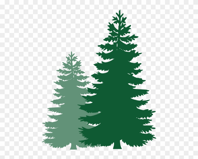 Pine Tree Clipart - Pine Tree Clipart Black And White #1317431
