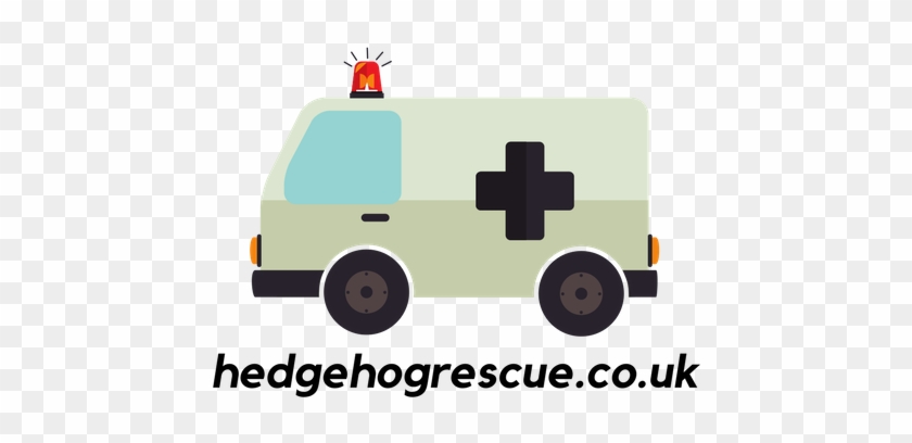 Hedgehogrescue - Co - Uk - Tiger Nuts #1317510