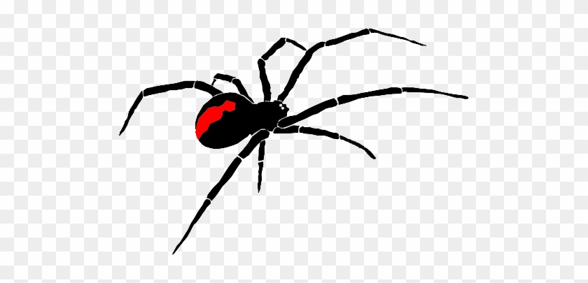 Related Red Back Spider Clipart - Red Back Spider Clipart #1317575