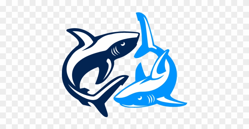 Sharks3 - Shark #1317720