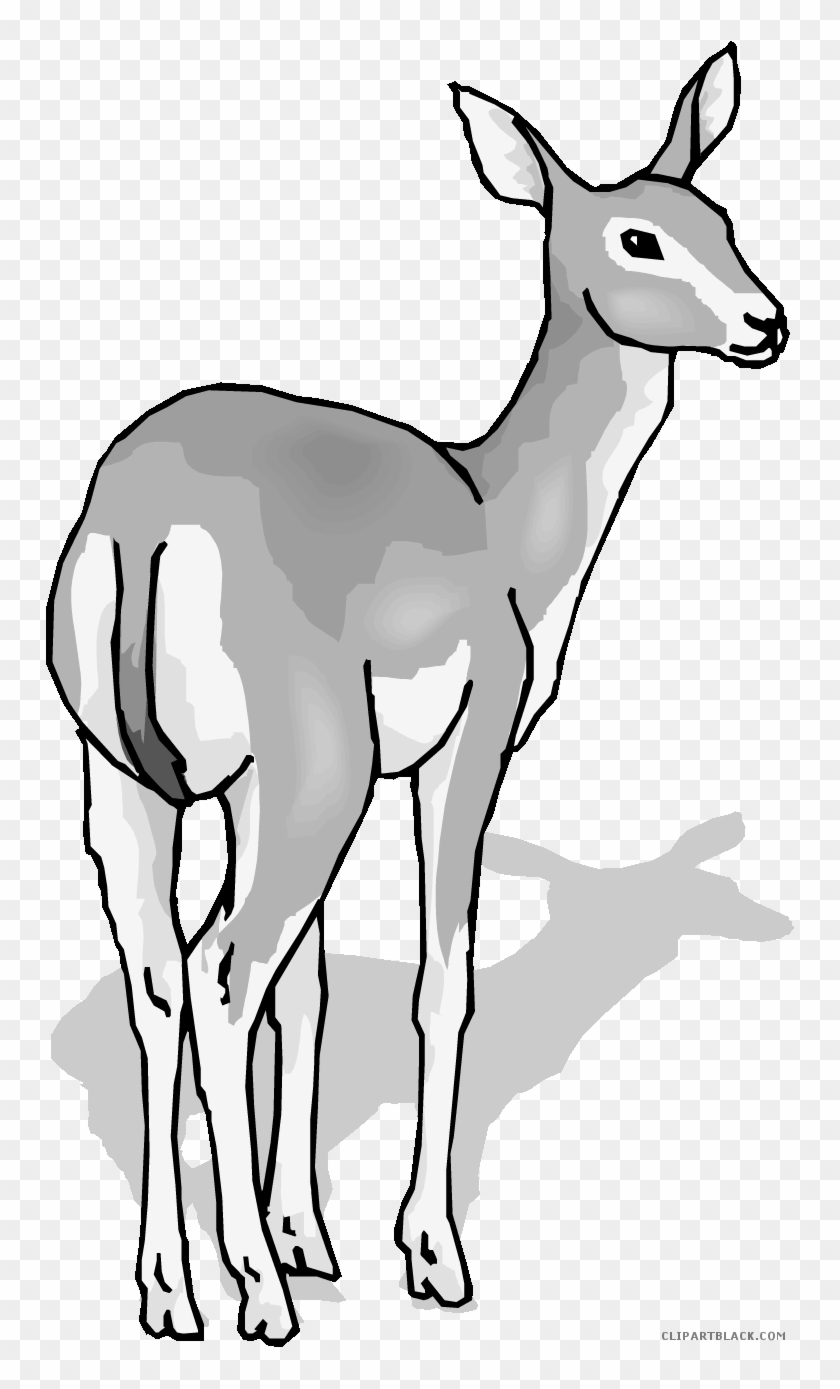 Deer Animal Free Black White Clipart Images Clipartblack - Clip Art #1317984
