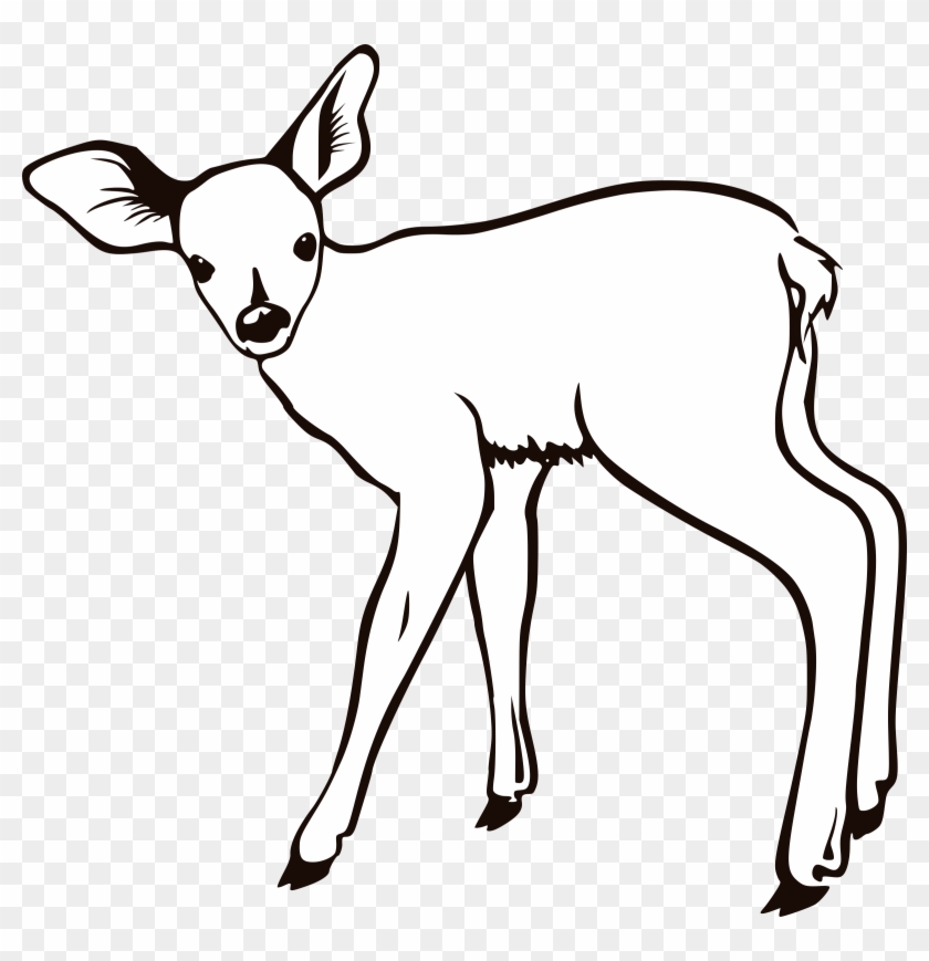 Big Image - Baby Deer Coloring Pages #1317990