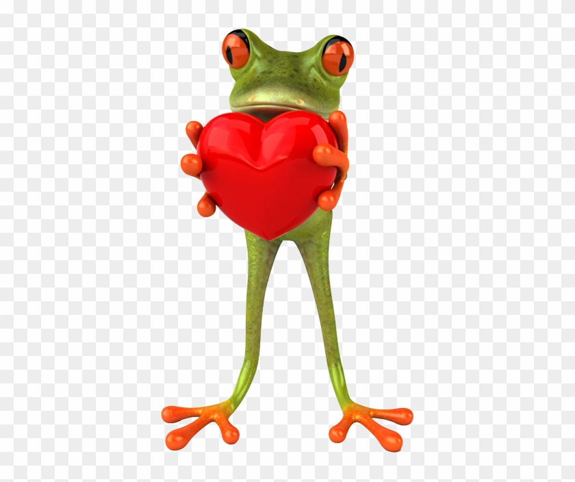 3 D Frog - Frog #1318375