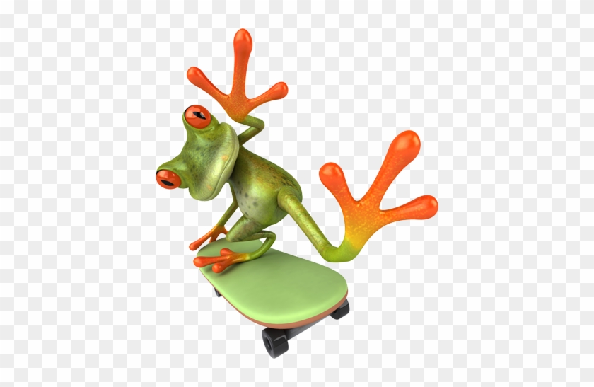 Image Of Frog On A Skateboard - Frog #1318415