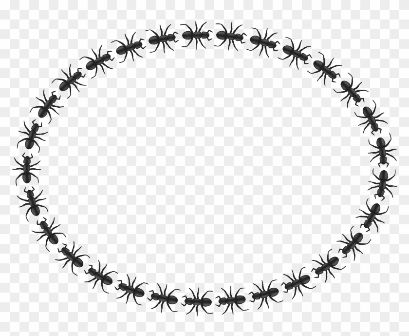 Art Free Ant Border Oval - Icon Border Circle Png #1318430