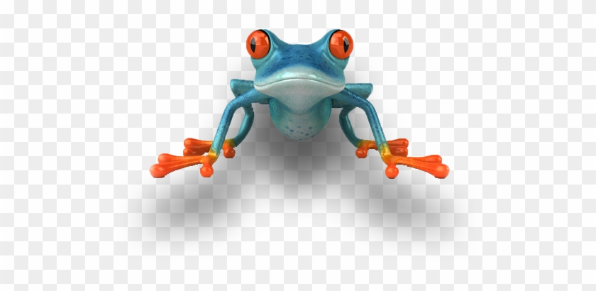 Let Blue Frog Media Manage Your Digital Promotion - Zen Frog #1318472