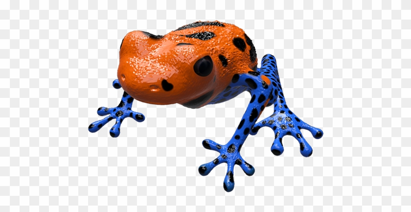 Poison Dart Frog - Animal Figure #1318485