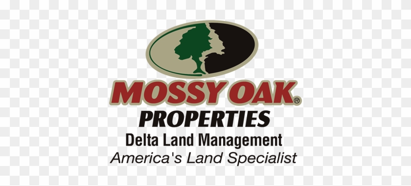 Arkansas Land For Sale, Arkansas Farms For Sale, Arkansas - Mossy Oak Properties Of Alaska #1318795