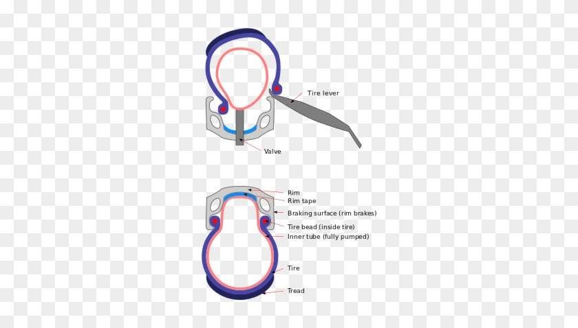 170 × 240 Pixels - Bicycle Wheel Cross Section #1318890