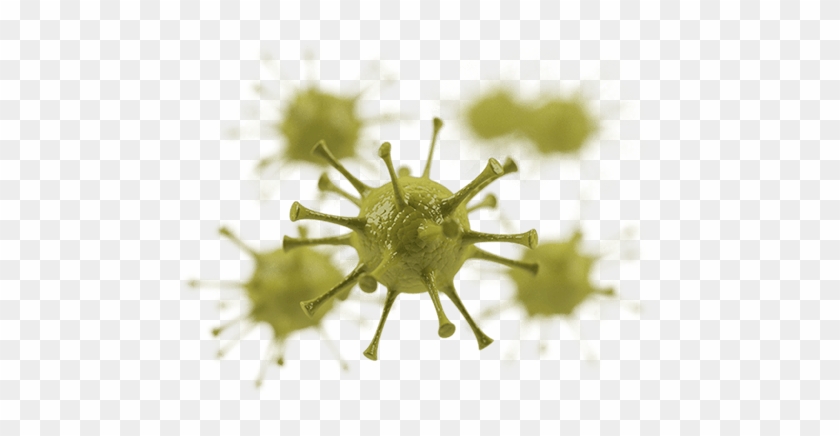 Immune Power - Virus #1319042
