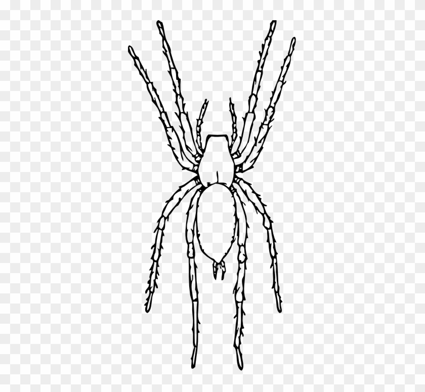 Drawn Spider Spider Black And White - Clip Art Spider Black And White #1319137