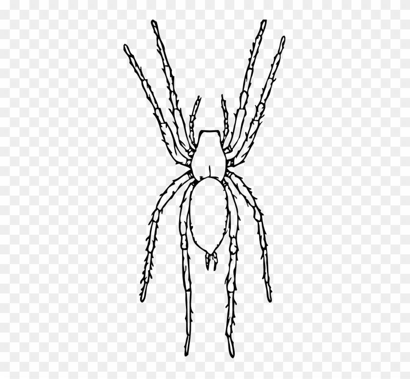 Drawn Spider Spider Black And White - Clip Art Spider Black And White #1319137