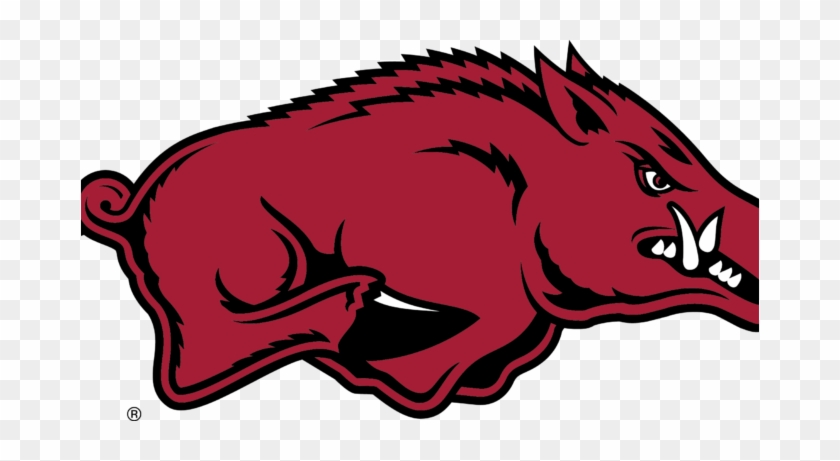 By Michael Delgiorno - Arkansas Razorbacks #1319365