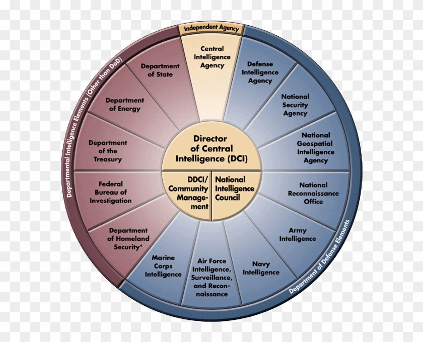 A Research On The History Of The Central Intelligence - Us Intelligence Community Diagram #1319482