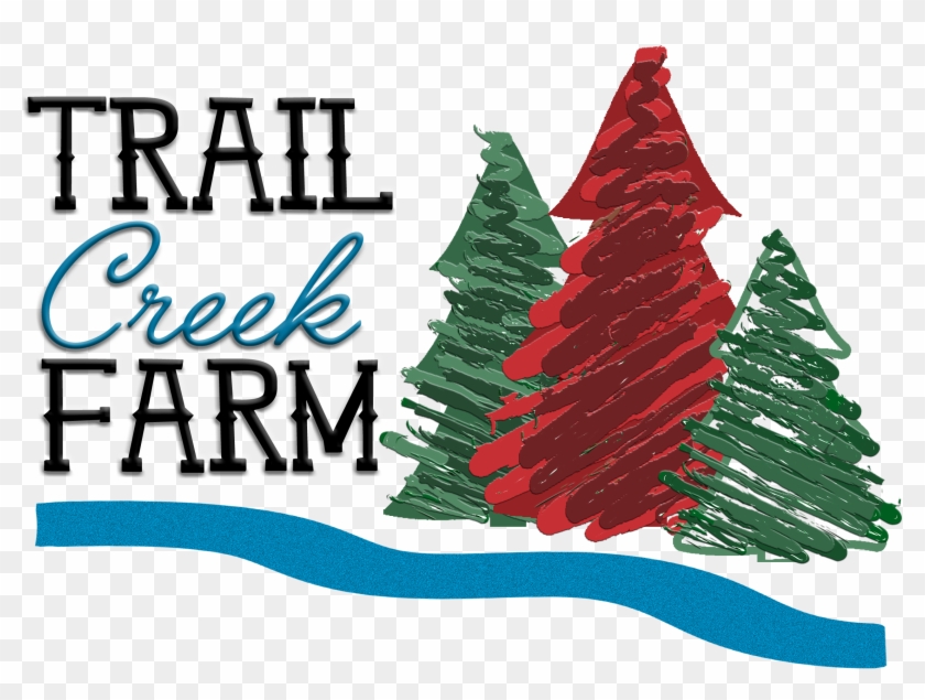 Scouts Final Trail Creek Logo No Background - Christmas Tree #1319817