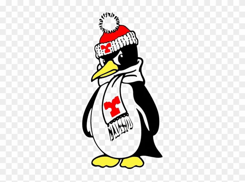 Youngstown State University Penguins, Youngstown, Oh - Youngstown State Penguin Logo #1320713