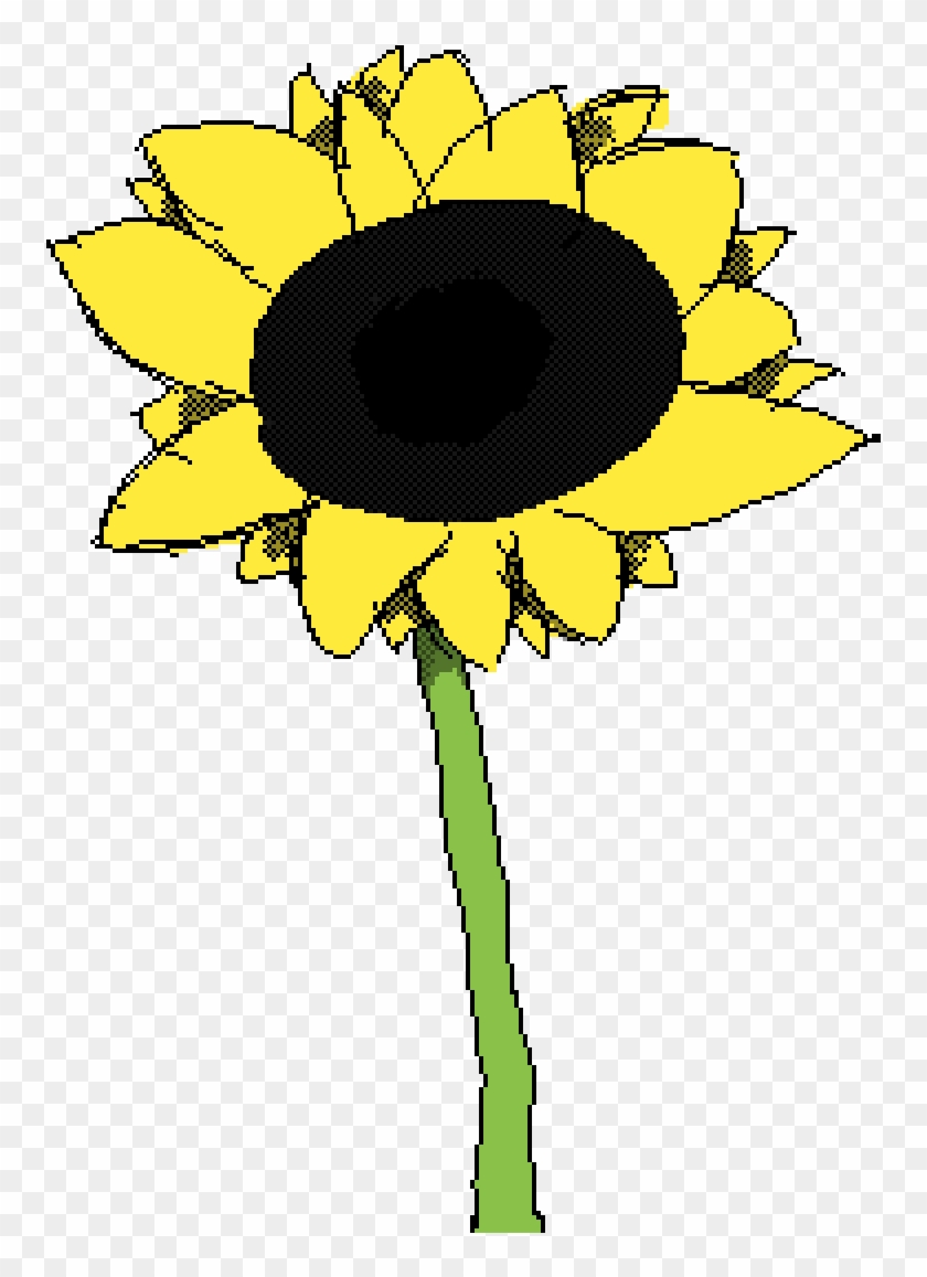 Sunflower - Sunflower #1320797