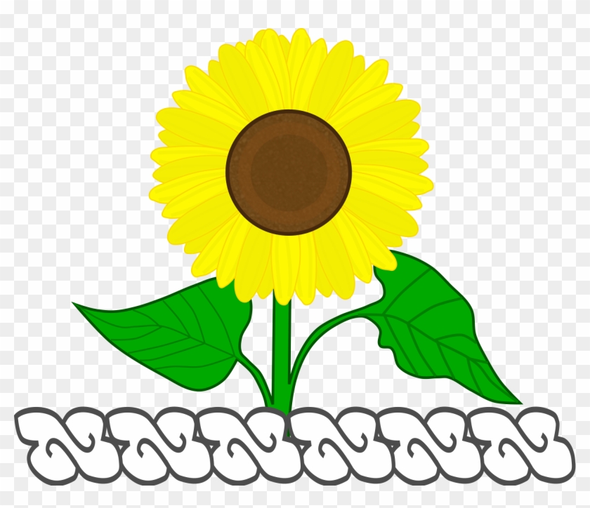 Open - Sunflower #1320803
