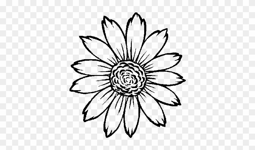 Drawn Sunflower Transparent - Sunflower Coloring Pages #1320814