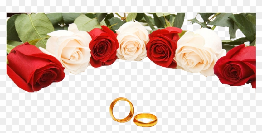 Wedding Ring Rose Stock Photography - Wedding Poster Design Templates Hd #1320815