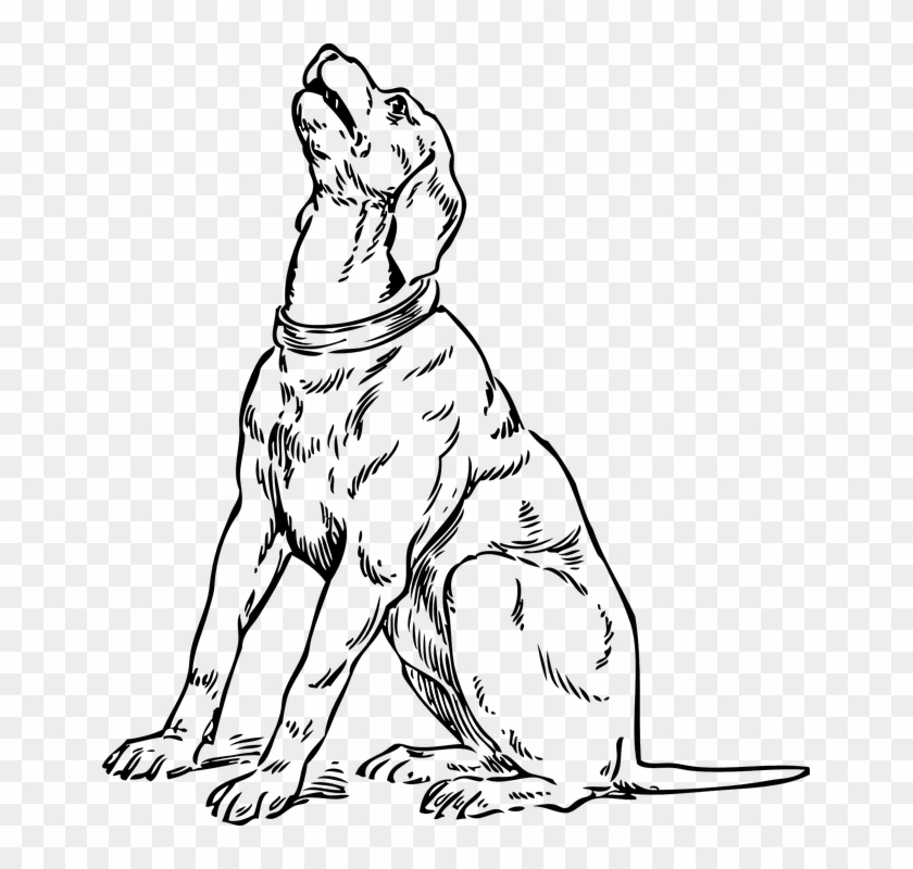 Hound Clipart Black And White - Toots And The Maytals #1320948
