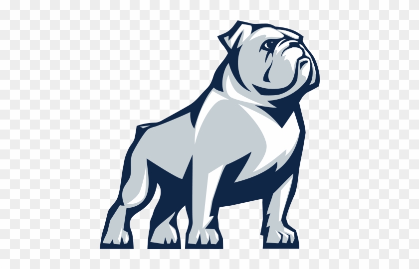 Samford University Bulldogs #1321040