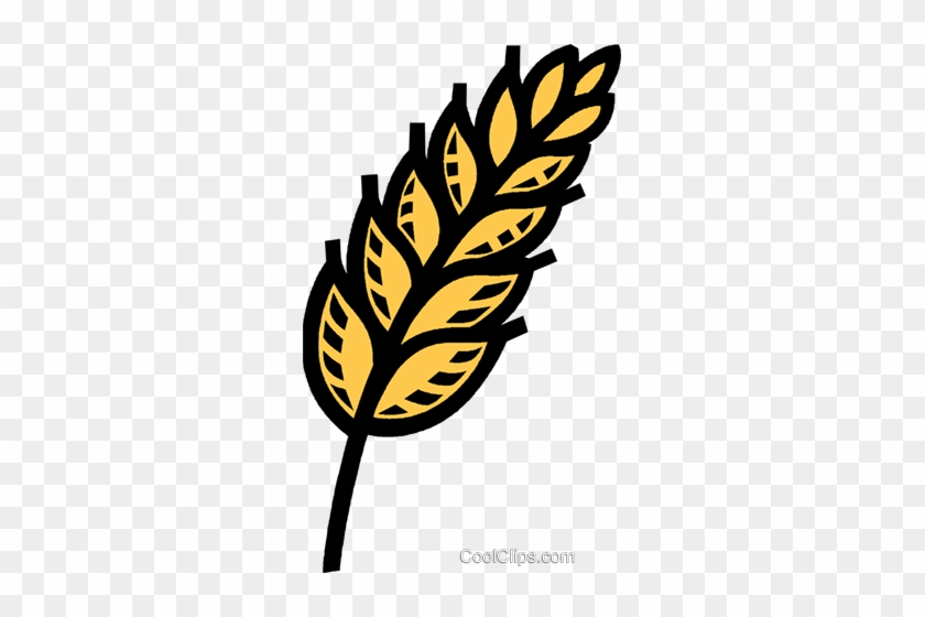 Grains Clipart Wheat Stem - Korn Getreide Clipart #1321798