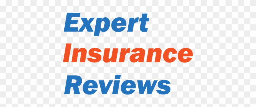 Top Life Insurance Companies For Seniors - 8oz Shot Flask With Bonus Funnel And Money Clip Gift #1321852