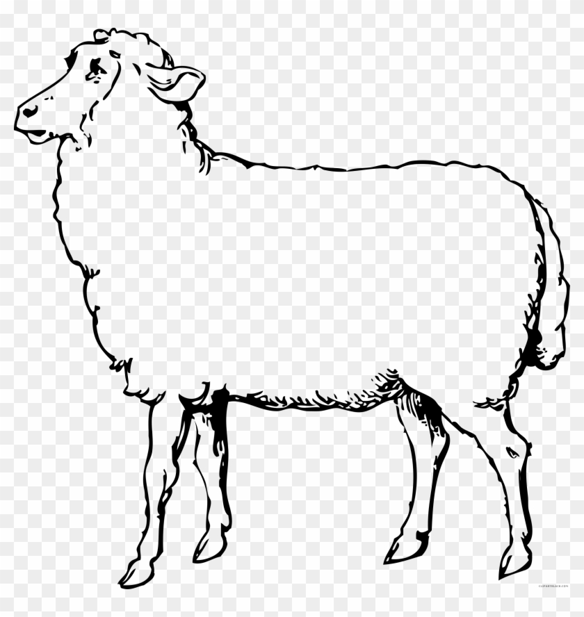 Sheep Outline Animal Free Black White Clipart Images - Sheep Shearing: How To Shear A Sheep Step By Step With #1321855