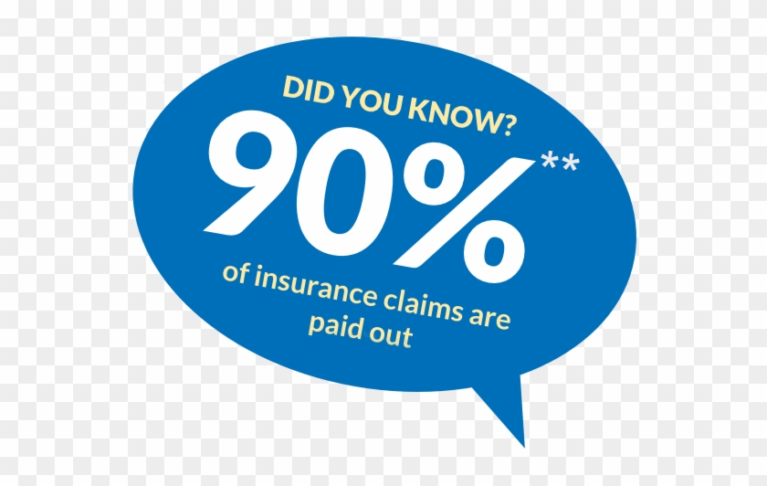 Compare Life Quotes Simple Compare Life Insurance At - Treeactiv Acne Eliminating Tea Tree Essential Oil All #1321858