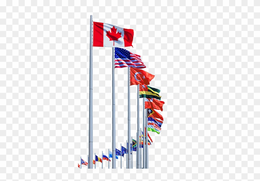 We Are The Largest Carriers Of International, Provincial - International Flags #1322160