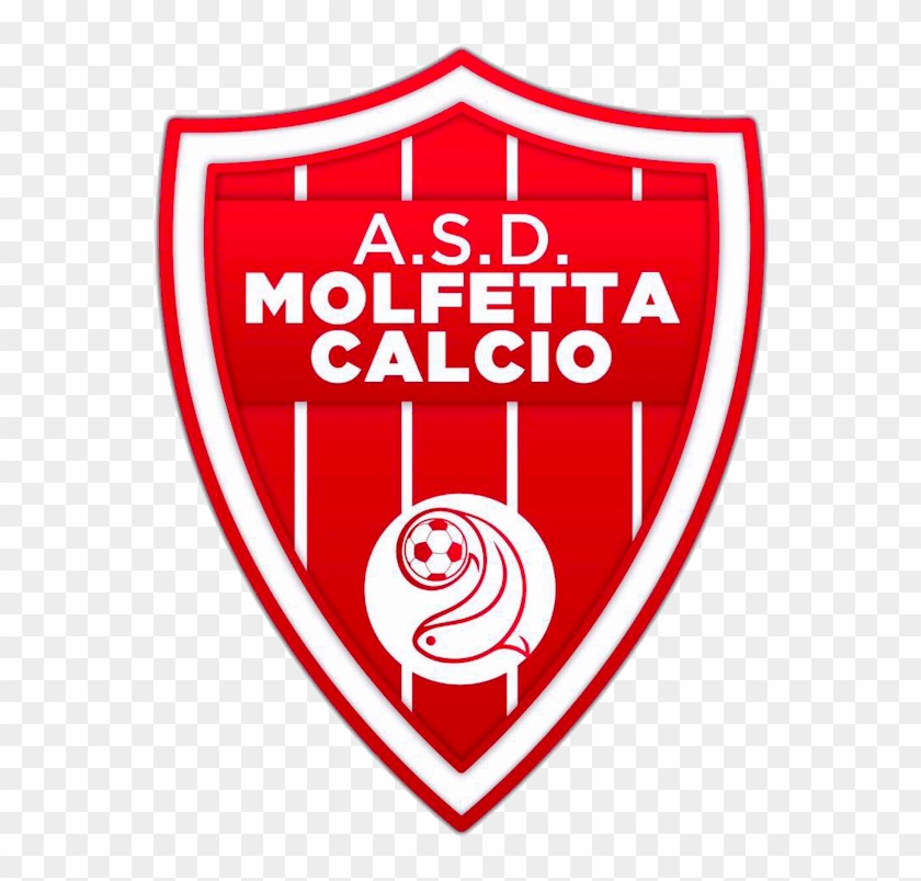 Molfetta Calcio - Stade Brestois 29 #1322193