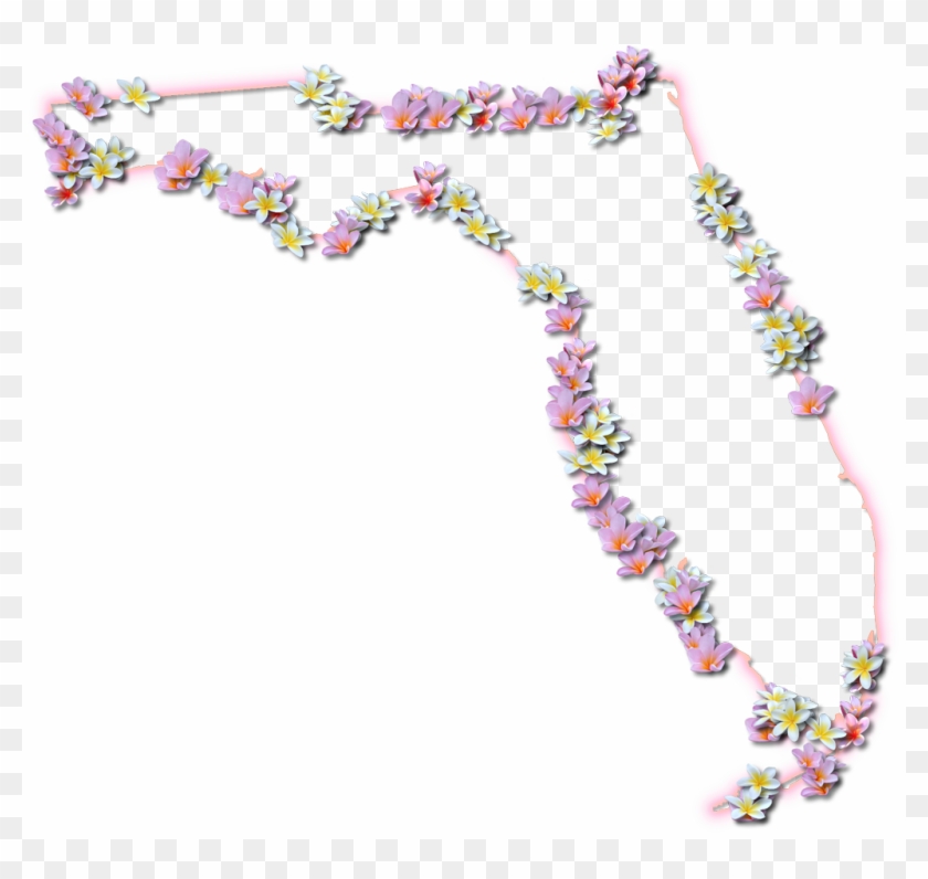 Florida "fancy Frame" Style - Spring Flowers In Florida #1322293